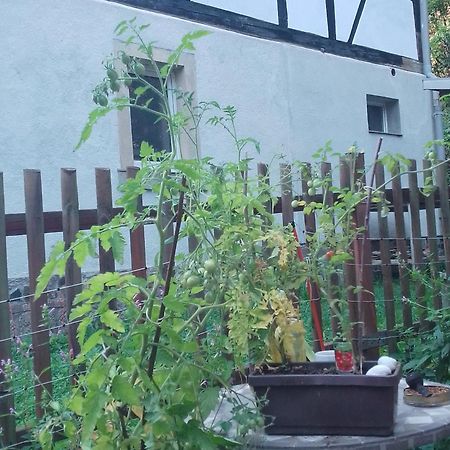 Zum Stillen Himmelbett In Lichtenwalde Niederwiesa Esterno foto