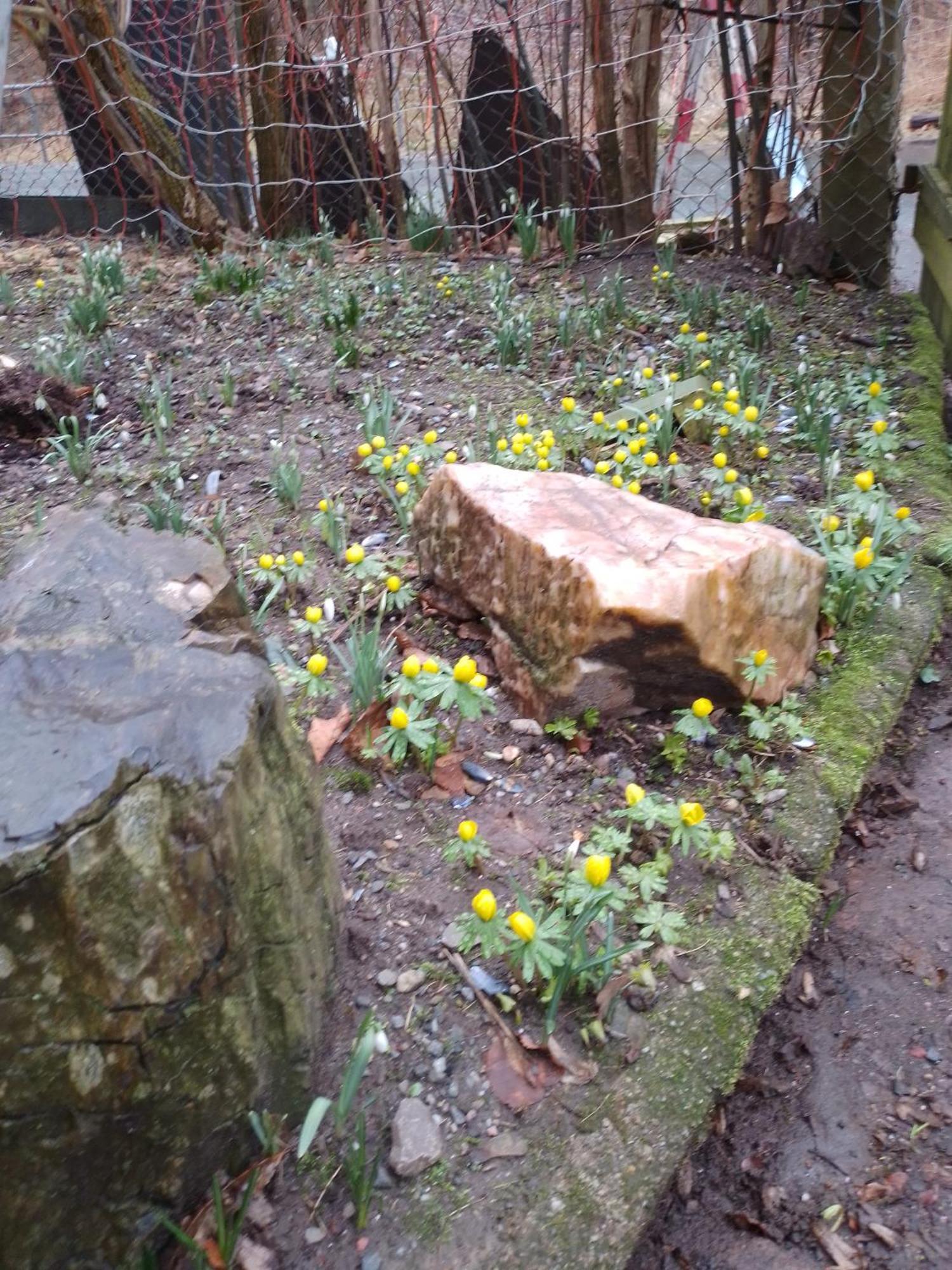 Zum Stillen Himmelbett In Lichtenwalde Niederwiesa Esterno foto