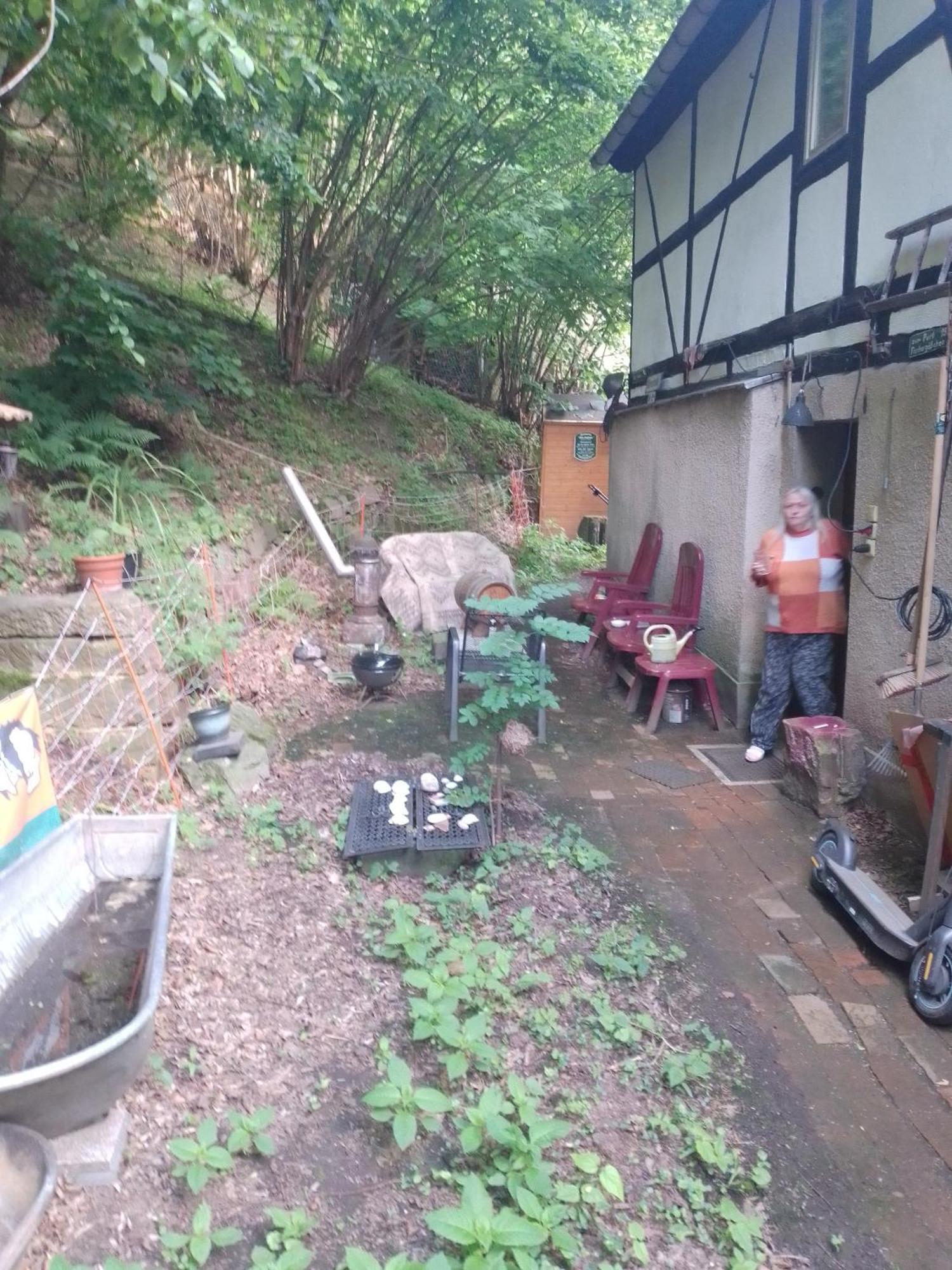 Zum Stillen Himmelbett In Lichtenwalde Niederwiesa Esterno foto